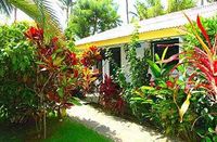 Garden tropical of the Hotel CASA NINA - Las Terrenas - Dominican Republic